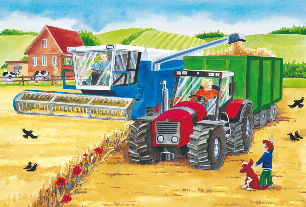 A farmon, 3x24 db (56216) Auf dem Bauernhof / On the farm, 3x24 db – alternatív kép 3