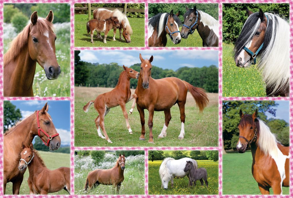 Pferdeträume, 150 db (56269) Beautiful Horses, 150 pcs – fő nézet