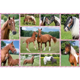 Pferdeträume, 150 db (56269) Beautiful Horses, 150 pcs