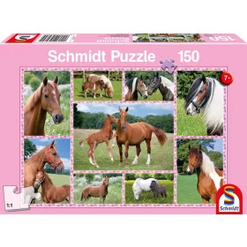 Pferdeträume, 150 db (56269) Beautiful Horses, 150 pcs