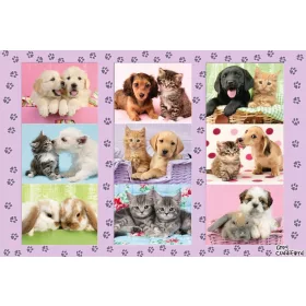 Meine Tierfreunde, 100 db (56268) My Animal Friends, 100 pcs