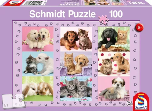 Meine Tierfreunde, 100 db (56268) My Animal Friends, 100 pcs