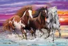 Trio of wild horses, 200 db (56356) Wildes Pferde-Trio