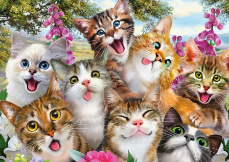 Macska szelfi, 500 db (58391) Katzen-Selfie  Cat Selfie – alternatív kép 1