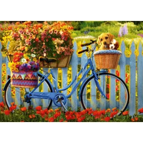   Sunday outing with good friends, 500 db (58957) Sonntagsausflug mit guten Freunden