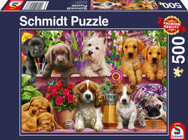 Dog in the shelves, 500 db (58973) Hunde im Regal – fő nézet