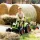 Claas Arion 410 pedálos traktor pótkocsival és XXL kotrógéppel, 2 m hosszú (2070Y)
