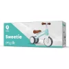 QPlay Balance Bike Sweetie Mint