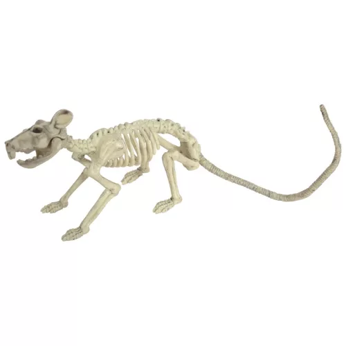 Halloween dekoráció: patkánycsontváz, 32 cm