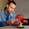 LEGO Botanicals Japán vörös juhar - Bonsai fa 10348