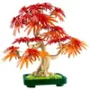 LEGO Botanicals Japán vörös juhar - Bonsai fa 10348
