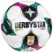 Derbystar Replica focimez Admiral Bundesliga 2025/26 5. csoport, 3–5 év, Többszínű