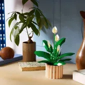 LEGO Botanicals Békeliliom 11504