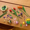 LEGO Botanicals Tulipáncsokor 11501