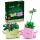 LEGO Botanicals Ringató növények 11506