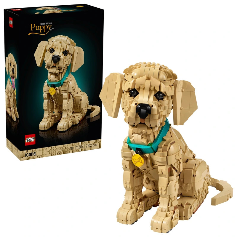 LEGO Icons Arany-retriever kölyökkutya 11384 – fő nézet