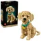 LEGO Icons Arany-retriever kölyökkutya 11384, 6–8 év, Műanyag
