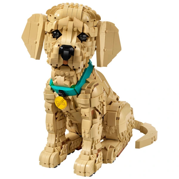 LEGO Icons Arany-retriever kölyökkutya 11384 – alternatív kép 2