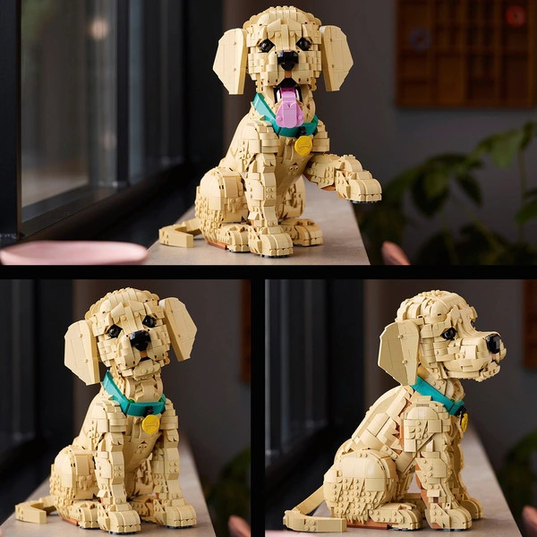 LEGO Icons Arany-retriever kölyökkutya 11384 – alternatív kép 3
