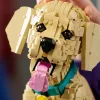 LEGO Icons Arany-retriever kölyökkutya 11384