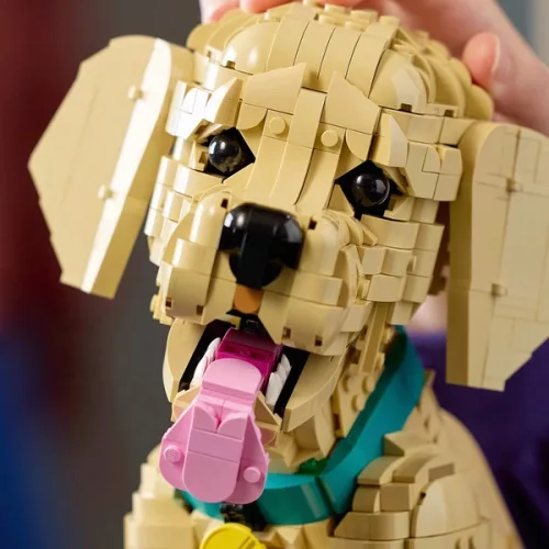 LEGO Icons Arany-retriever kölyökkutya 11384