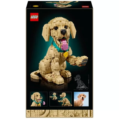 LEGO Icons Arany-retriever kölyökkutya 11384