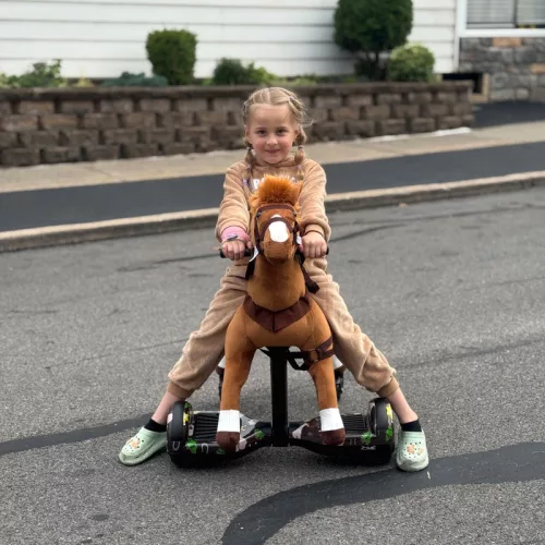 Power Pony lovagolható játék pónilovacska, barna