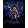 PLAYMOBIL 71962 WWE Rhea Ripley