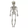 Halloween dekoráció: mozgatható csontváz, 45 cm