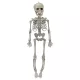 Halloween dekoráció: mozgatható csontváz, 45 cm