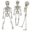 Halloween dekoráció: mozgatható csontváz, 45 cm